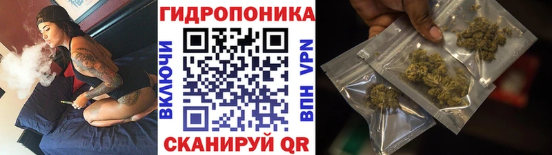 Бошки Шишки LSD WEED  Пустошка 